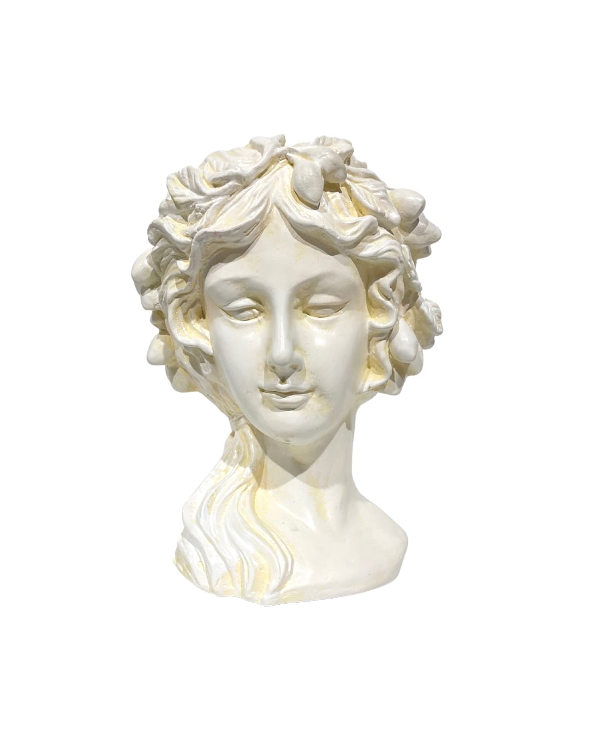 venus3