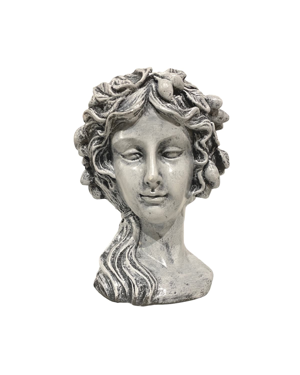 venus4