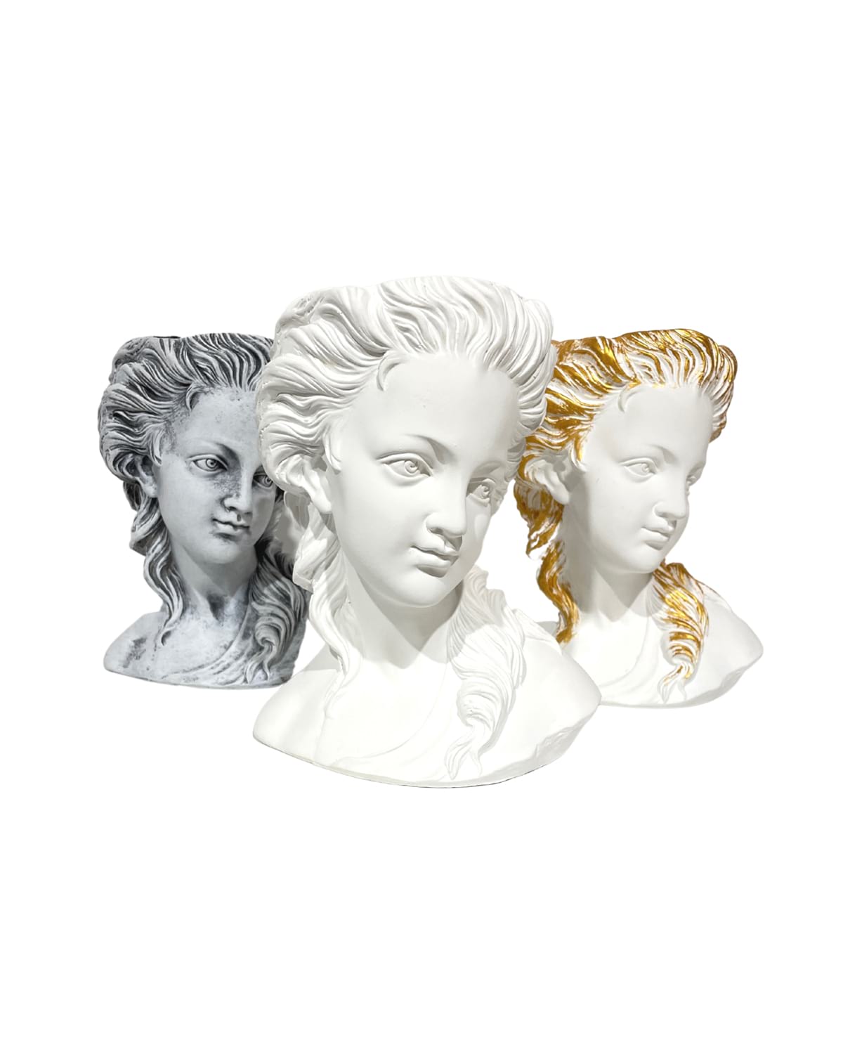 venus5