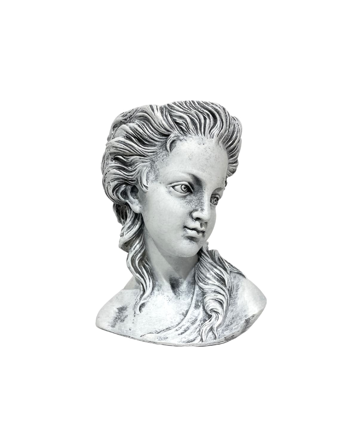 venus8