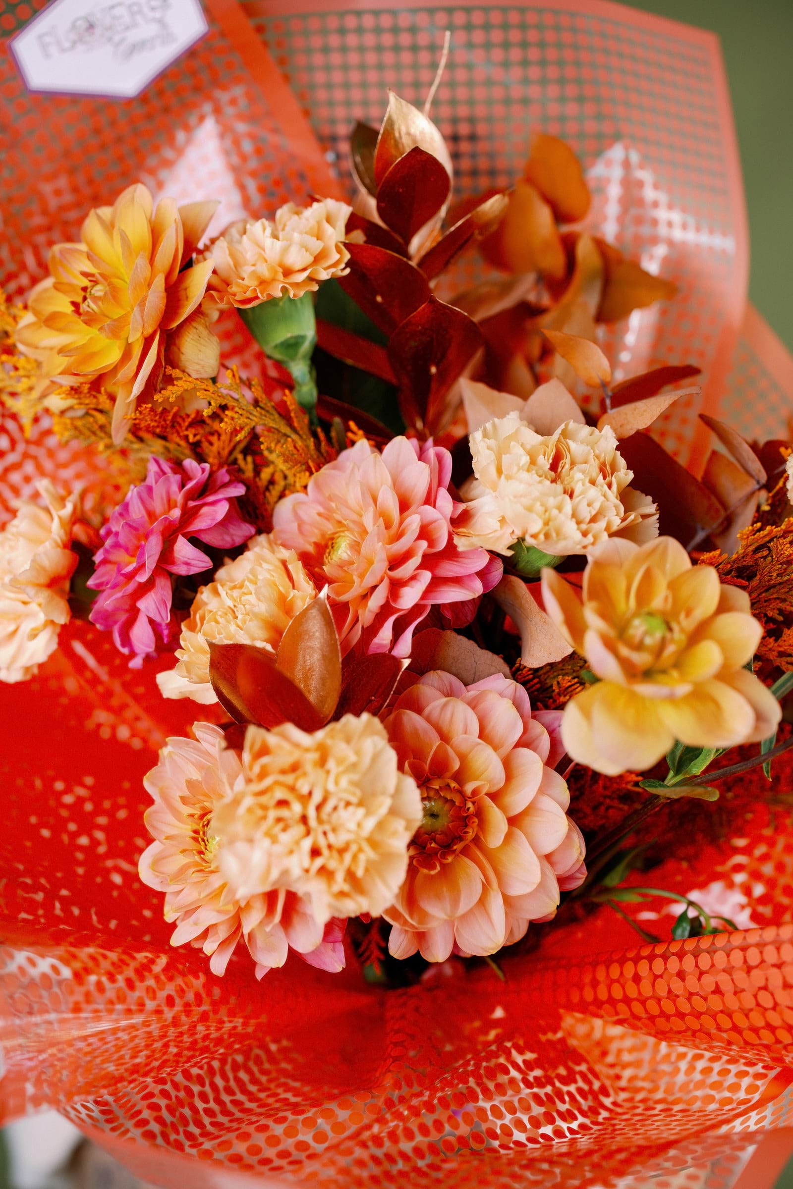 15b_autumncollection2024